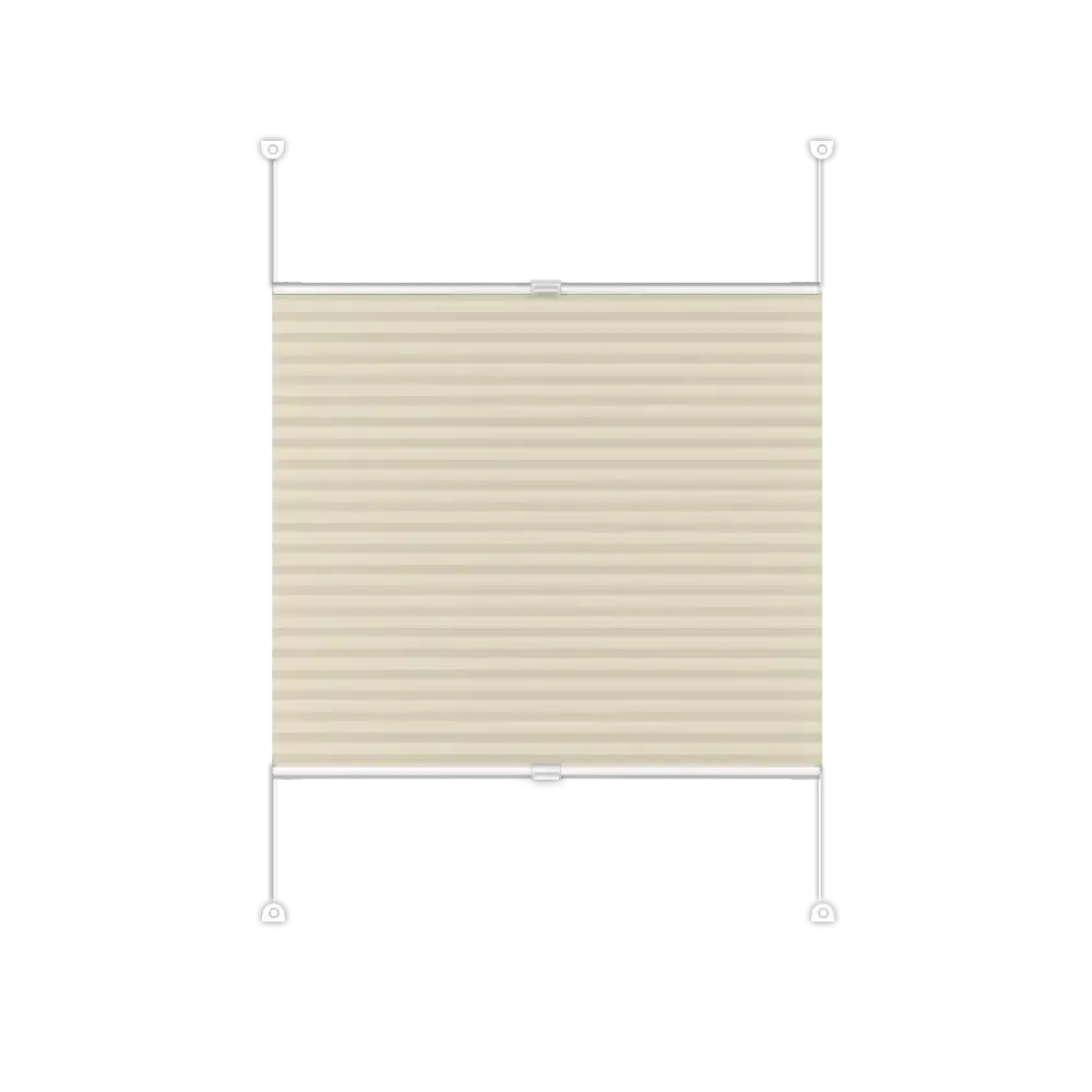 Pleated Blinds DUO Basic - Duo 306