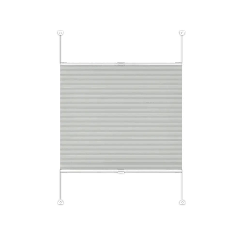 Pleated Blinds DUO Basic - Duo 302