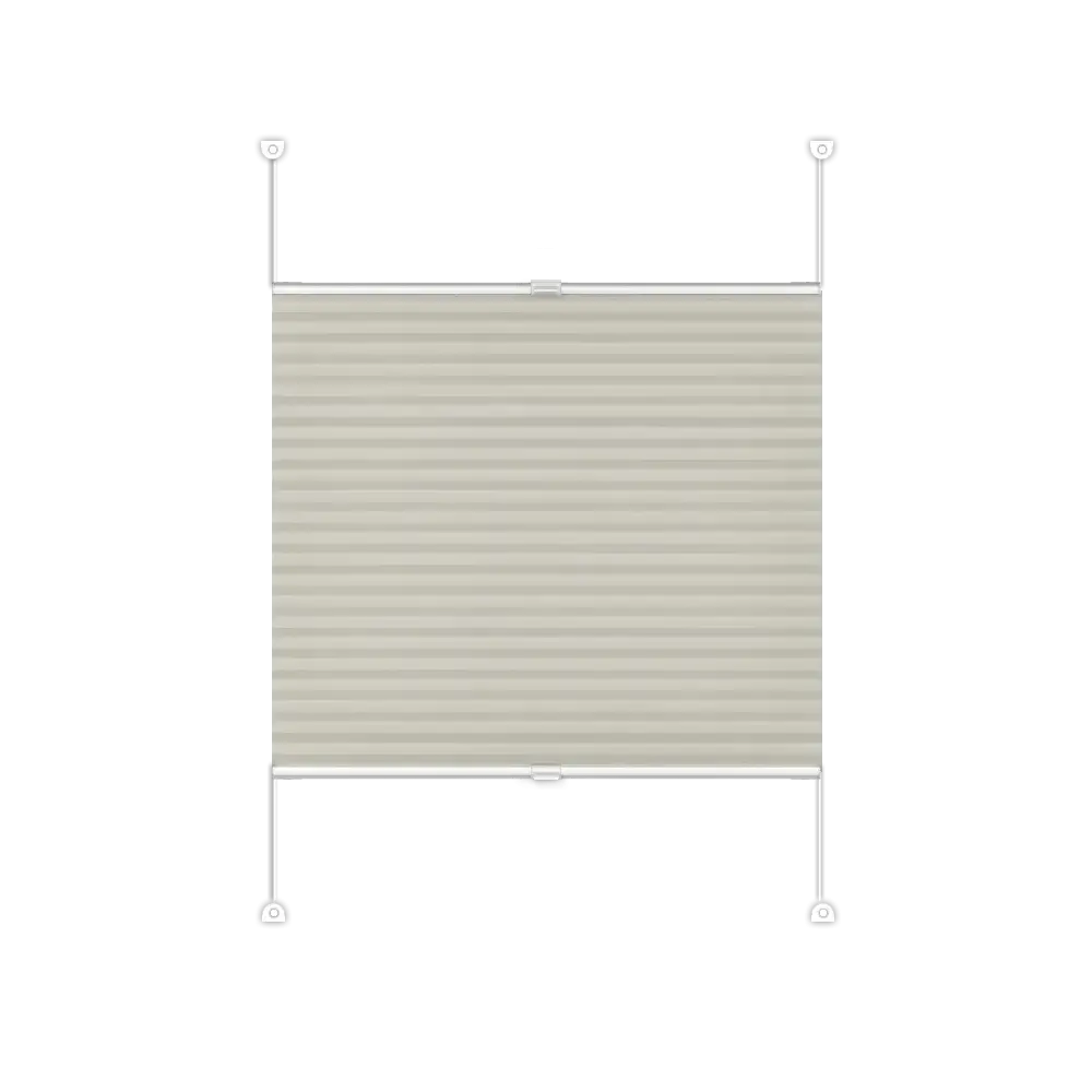 Pleated Blinds DUO Basic - Duo 303