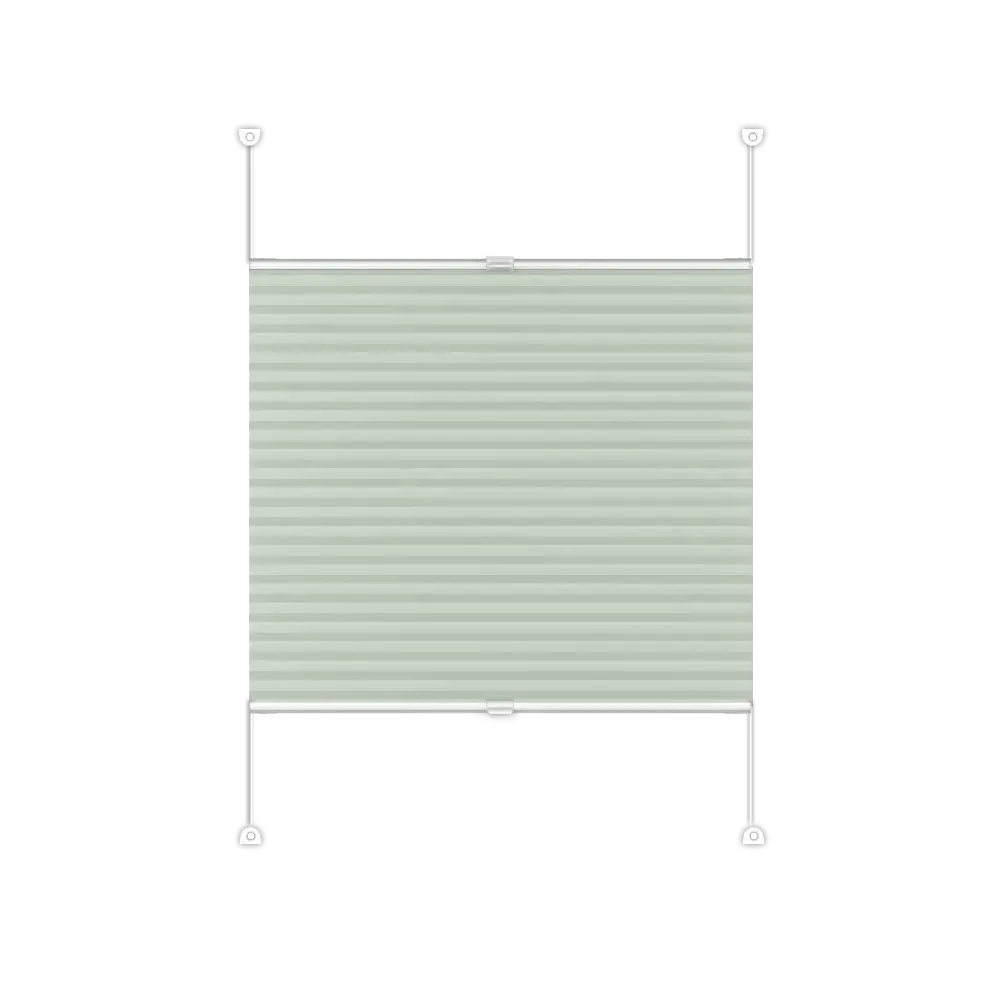 Pleated Blinds Basic DUO Special offer - Duo 211
