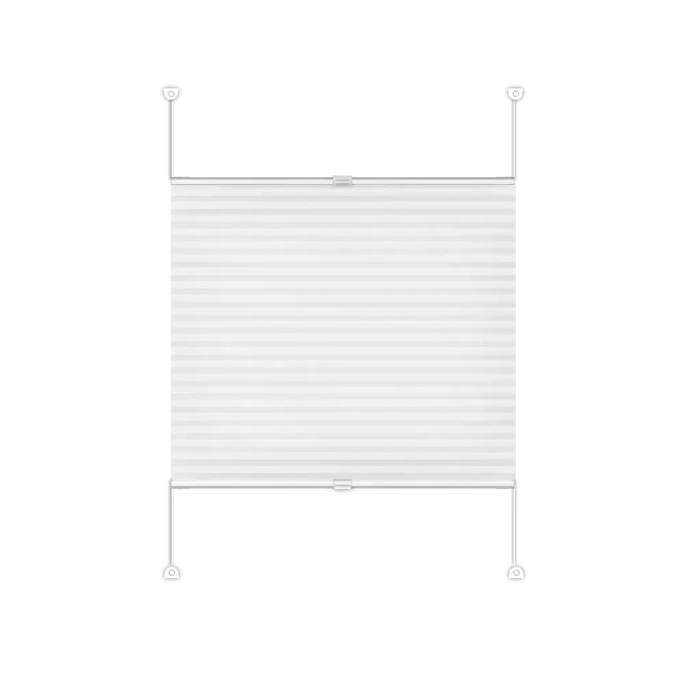 Pleated Blinds DUO Basic - Duo 301